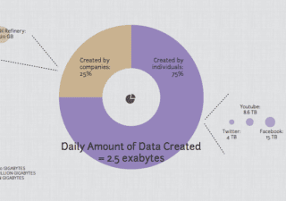 Data Catalyst - Data Visualizers Report Graphic