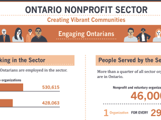 Emerging strategies to create a thriving non-profit sector