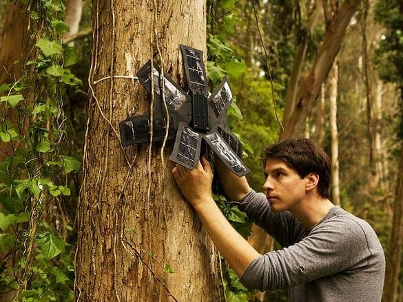 Rainforest Connection: Transforming old smartphones into deforestation detection devices