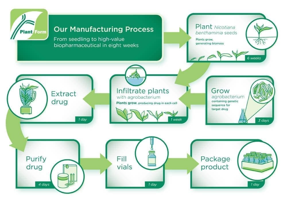 PlantForm's manufacturing process