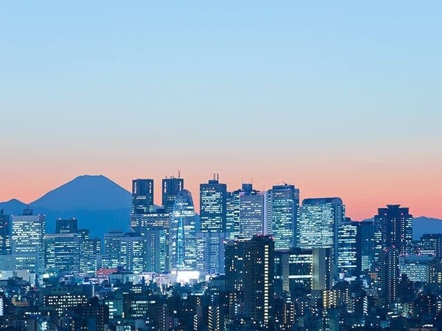 Make connections with the Japanese market through NTT DATA’s global business challenge