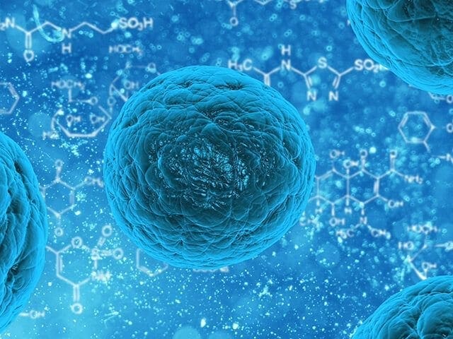 Bayer and Versant Ventures invest $225-million US to commercialize stem cell technology through BlueRock Therapeutics