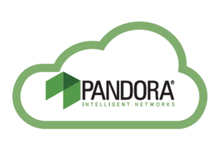 Pandora Intelligent Networks Ltd.