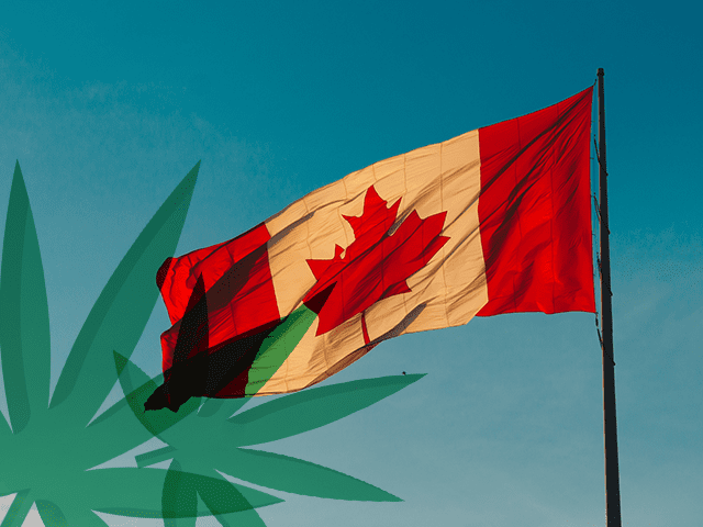 How are Canadian startups embracing the cannabis opportunity? Boldly.