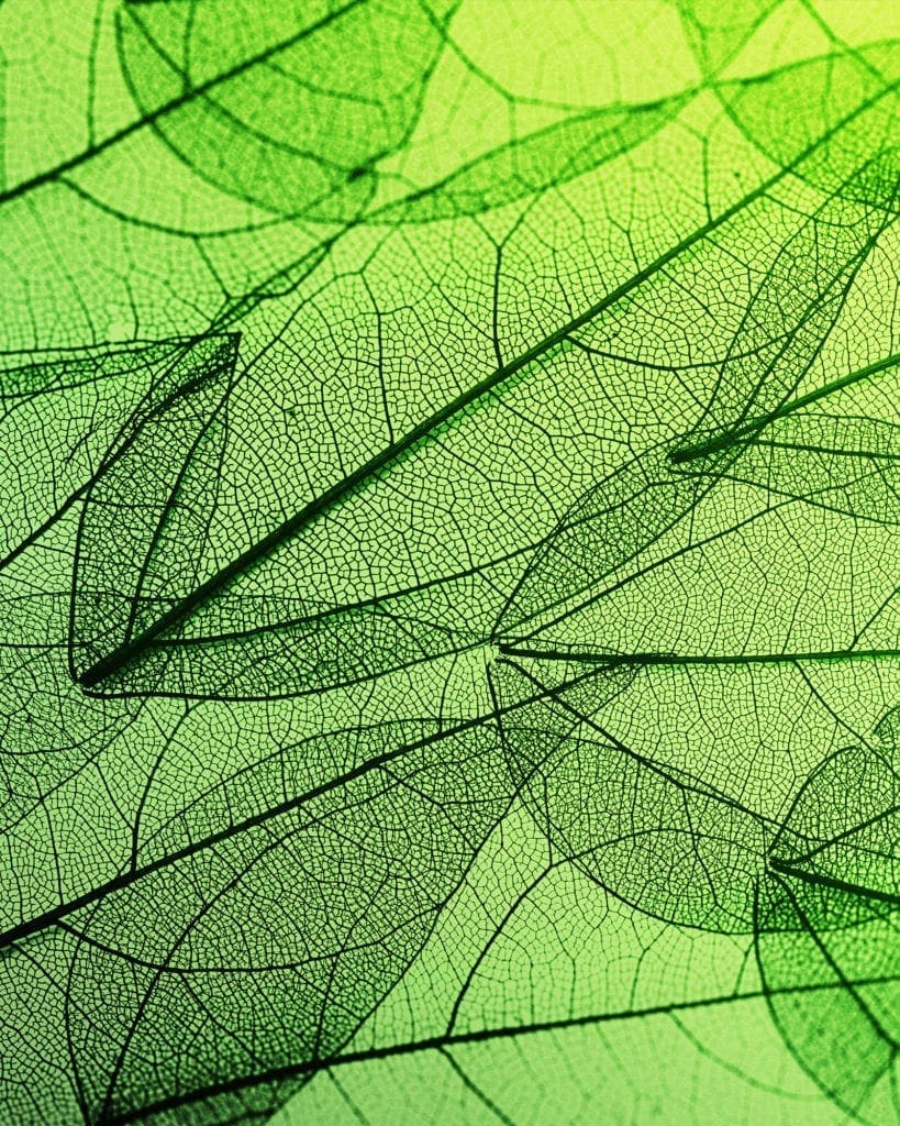 Mars Cleantech
