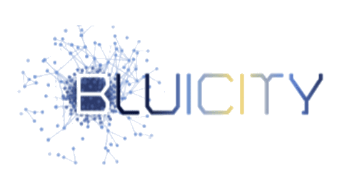 Bluicity Inc.