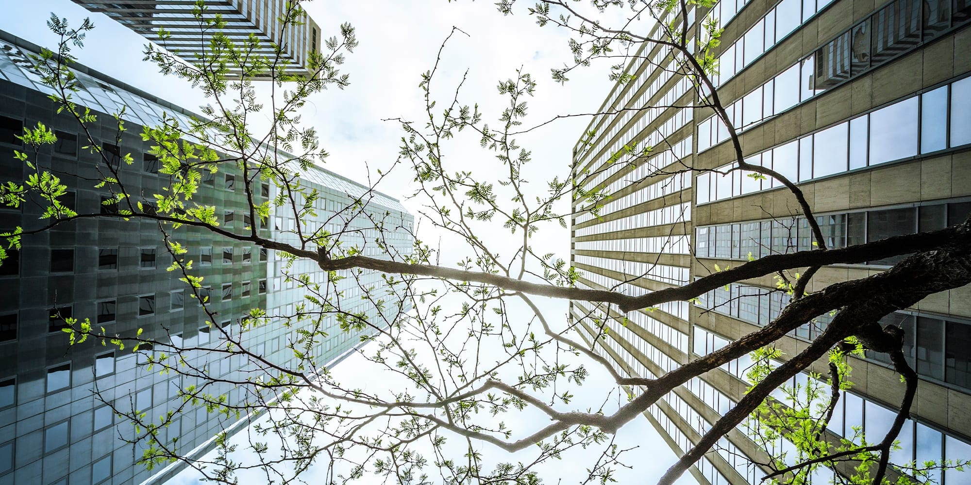 Cleantech can drive growth. We need to buy in Cleantech can drive growth. We need to buy in