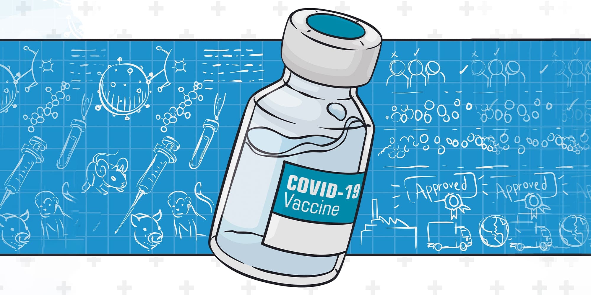 Everything Canadians need to know about the COVID-19 vaccines