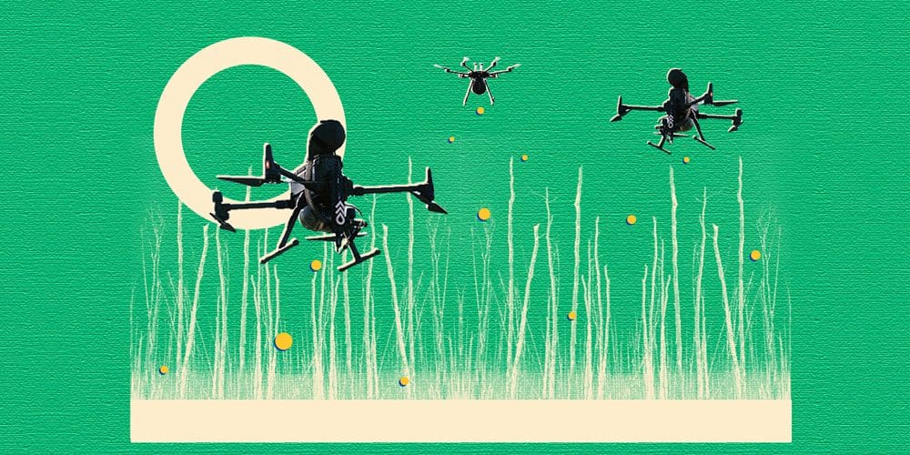 Planting trees is still a great way to fight climate change — especially if you use drones